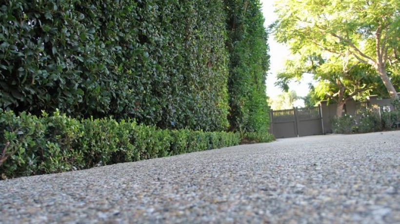 Exposed Concrete - driveway 2